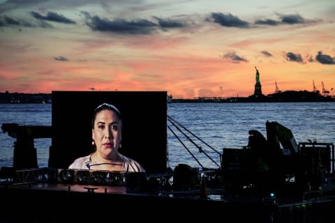A large portrait of a woman with the sunset, water and Statue of Liberty in the background