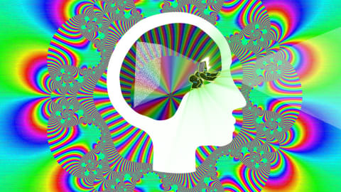 Still from animation, depicting a white silhouette of a head with a small human figure inside an inner hollow space. In the background are psychedelic colors and shapes.
