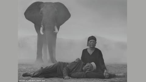 elephant and two people sitting