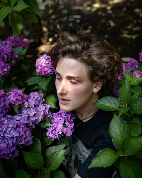A photo of a young adult inside of a hydrangea bush with their head above the flowers 