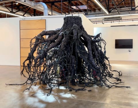 Image of Roots sculpture by WonJung Choi, looks like the roots of a tree.