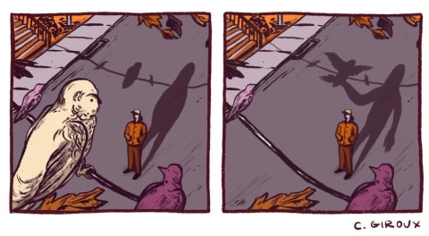 A two-panel comic: first panel is of a person in the distance watching an owl on a telephone wire. In the second panel, the owl is gone and the shadow of the person is holding a bird
