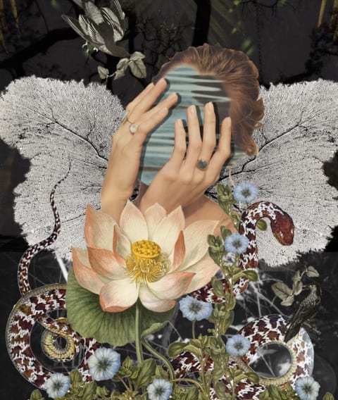 A collage of a woman holding her face with rings on her hands and ice in the shape of butterfly wings. Her face is replaced with a photo of water's surface