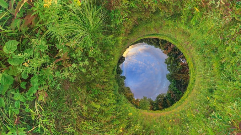 a 360 degree panoramic photo of a meadow in upstate New York taken near sunset. The perspective of the scene has been transformed so that the horizon appears as a circle to the right and very slightly below the center of the image.