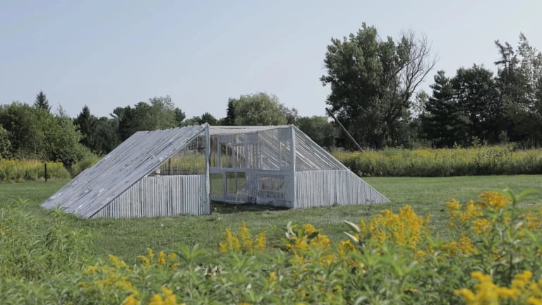 a structure made of gray slats in the shape of a trapezoid erected in a green field clearing