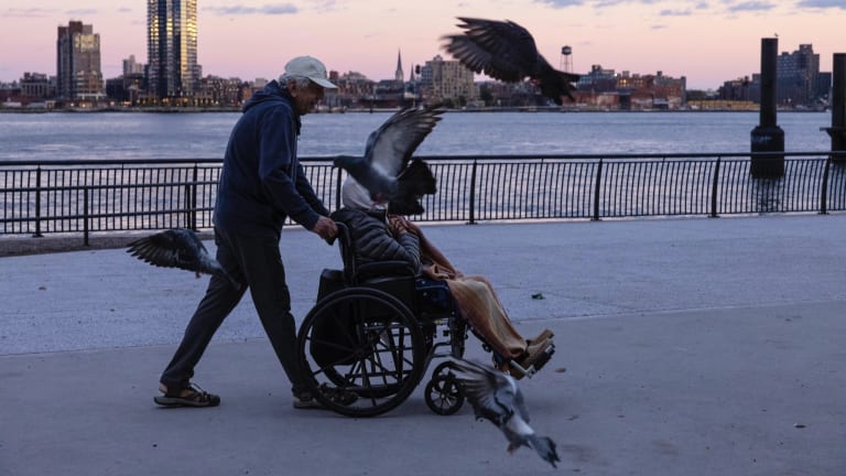 A phptograph of a pigeon flying in front of a person being pushed in a wheelchair on a boardwalk in NYC.