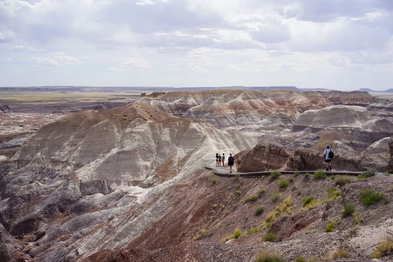 Image of Painted Desert Petrified Forest National Park 