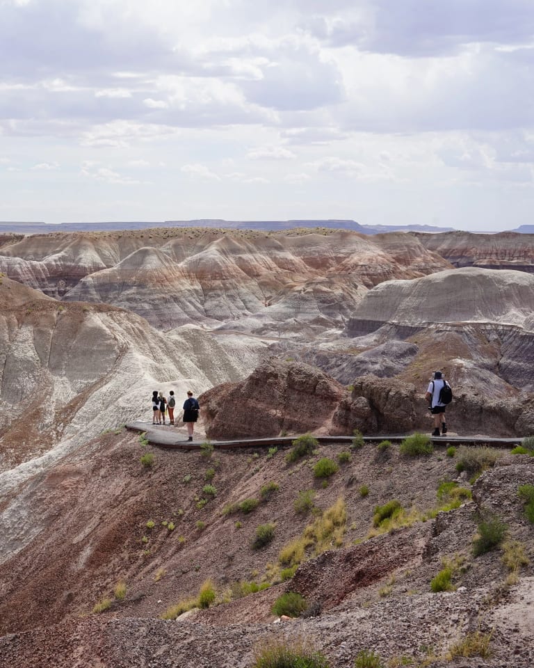 Petrified Forest National Park (Painted Desert)