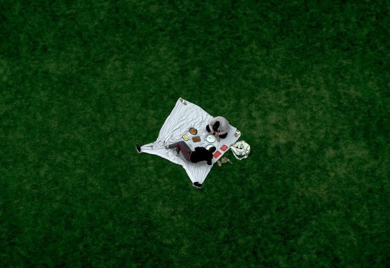 Photograph of couple on picnic blanket shot from above.