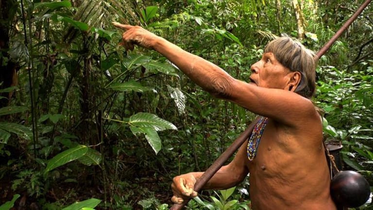 A native man pointing in the jungle