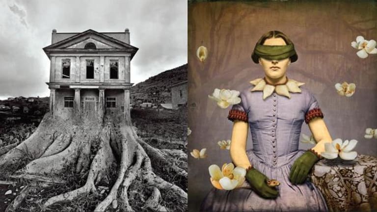 Two artworks are shown.  One is a house with tree roots and the other is a blindfolded lady wearing green gloves with white flowers around her.
