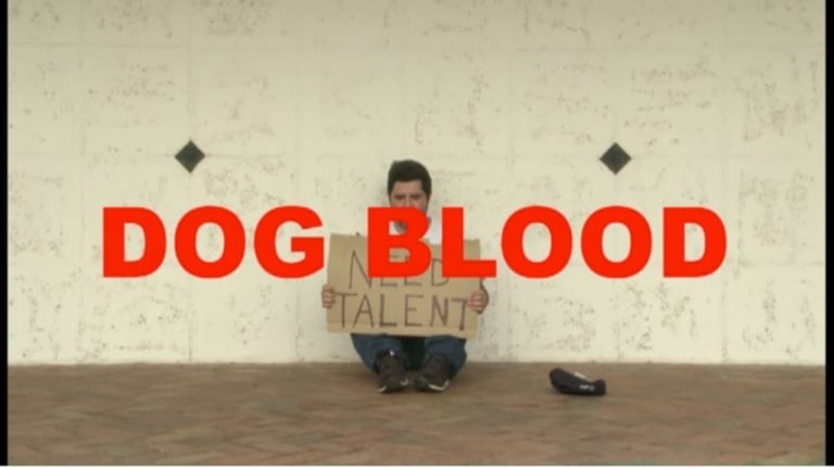 A person sitting on the ground holding a sign that says "Need talent".