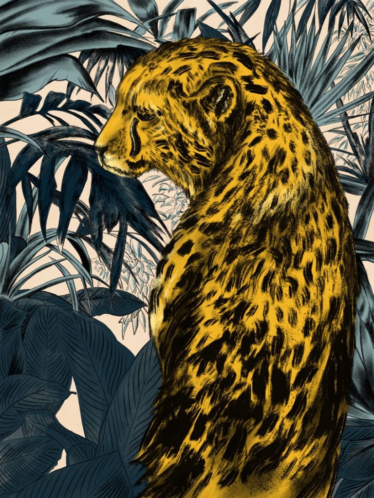 An illustration of a cheetah in front of foliage
