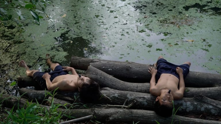 A video still that shows two young men lying on fallen trees next to swampy water.