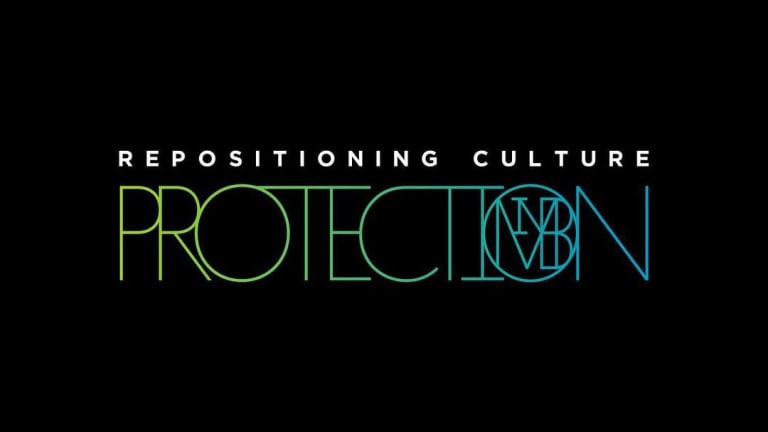 Graphic that reads "Repositioning Culture: Protection"