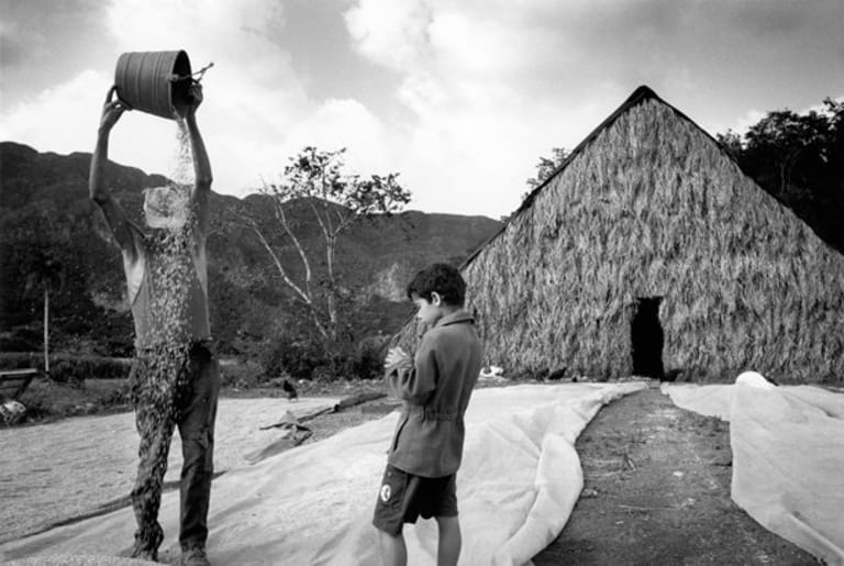 Two males standing in front of a hut. The taller one pours a bucket of water over his head.