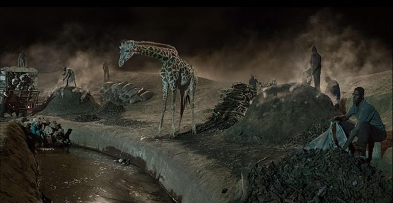 An image of a giraffe in a barren land.