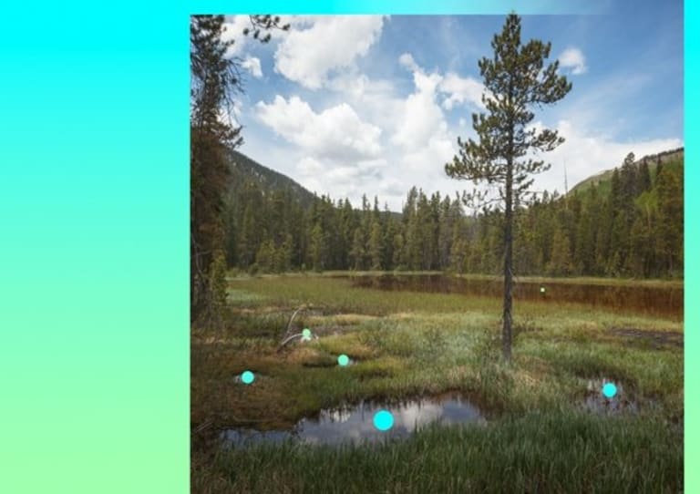 A photograph of a field in the mountains has cyan orbs superimposed on it.