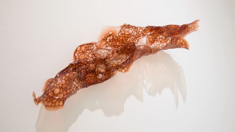 Magdalena Dukiewicz, Flesh and Blood #5, blood, hydrolyzed collagen with air bubbles, 15" X 7" X 5"