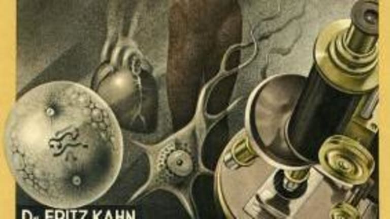 This is a poster with a naked man, a heart, cells, a microscope and wordind on the bottom all in German.