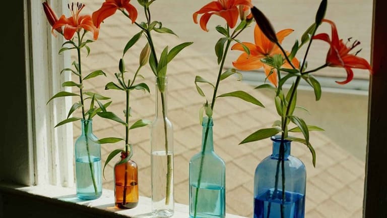Individual tiger lilies in bottles of assorted sizes and colors sit on a windowsill