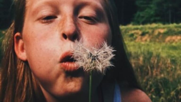 A girl blowing at a flower