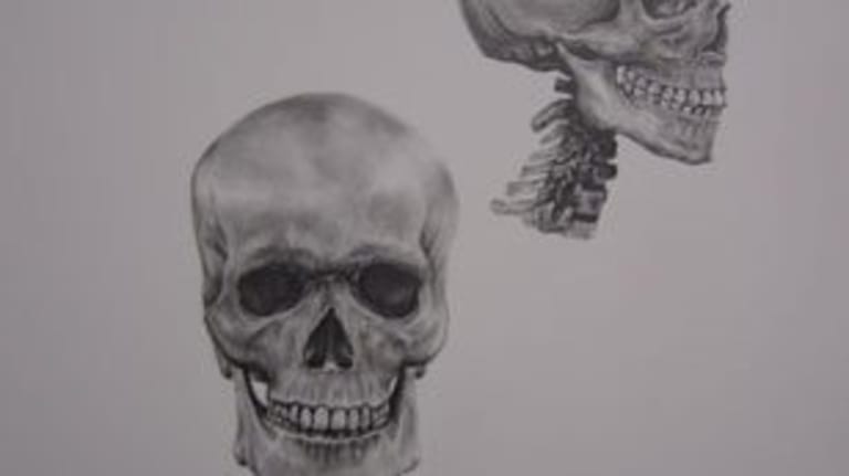 An illustration of the human skull in front and side profile.