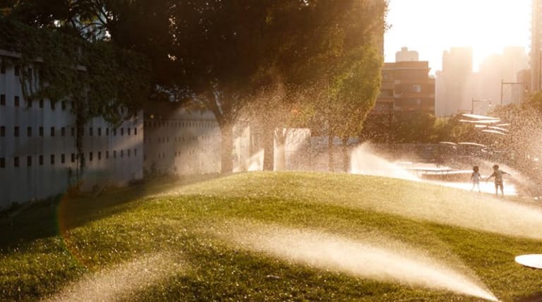 Playtime in the sprinklers.