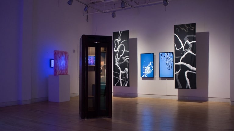 an art display with a phone booth.