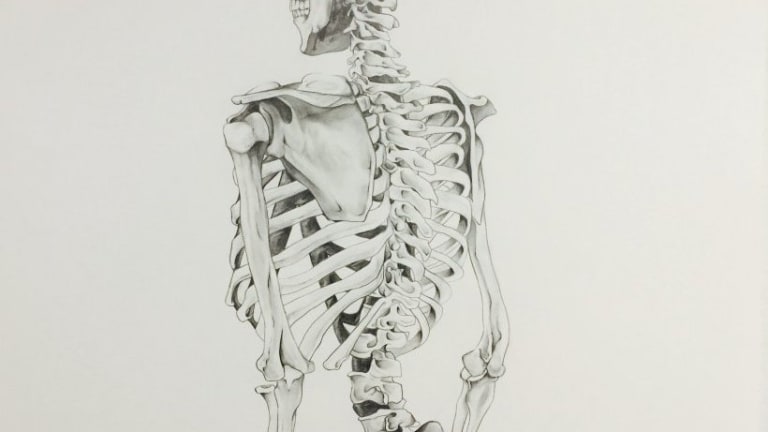 Drawing of a skeleton.