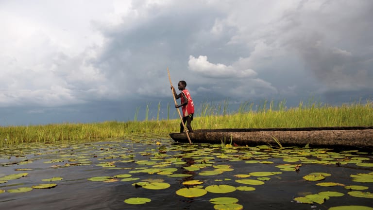 A young boy uses a long pole to guide his wooden boat through a swamp covered in lily pads.