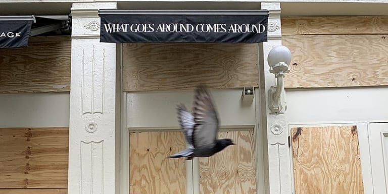 Photo of a boarded up building with a pigeon flying by it. There is a sign that reads "What goes around comes around," in white font on a black background.