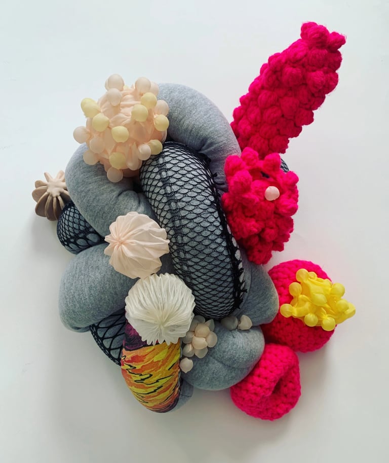 Front image of a Soft sculpture made by student 