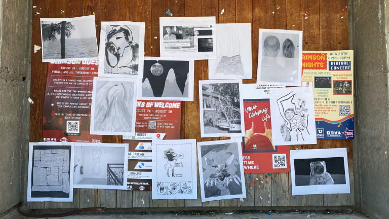 Here is an array of flyers, prints, and posters arranged on a wall made of 2x4 planks of wood.
