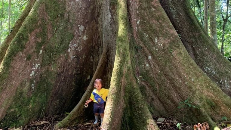 child in front of tree 