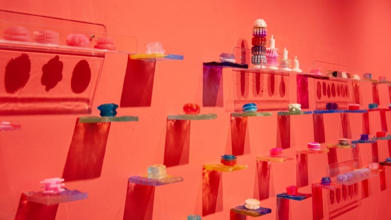3D printed colorful sex toys on individual shelves 