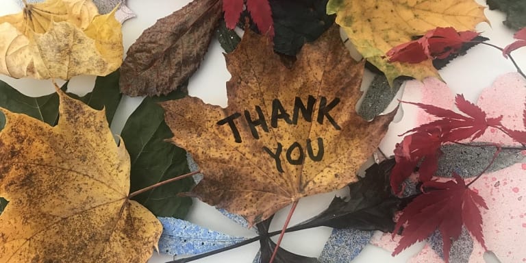 A collection of brown, red and yellow leaves on a white background with one brown leaf at the center with the words "thank you" written on it.