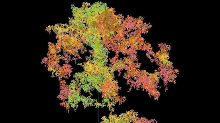 Computer-generated image depicting a delicate tree-like structure in green, orange, red, and yellow, against a black background.