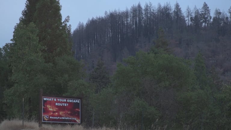 A film still showing a partly burned forest with a billboard in the foreground.