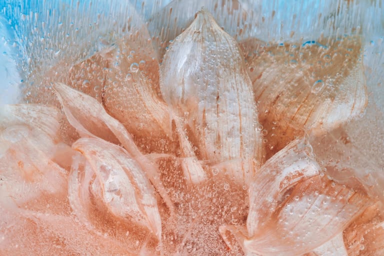 Image of a close up abstracted photo of a light orange flower submerged in ice.