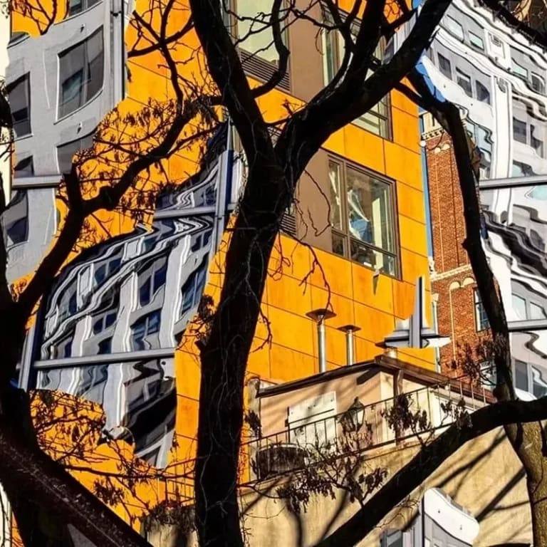 A picture of buildings behind a tree where each section between branches shows a different setting.