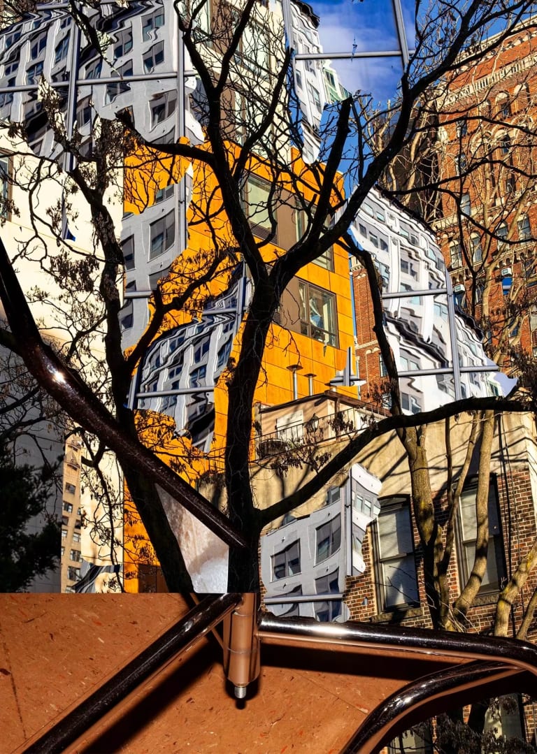 A picture of buildings behind a tree where each section between branches shows a different setting.