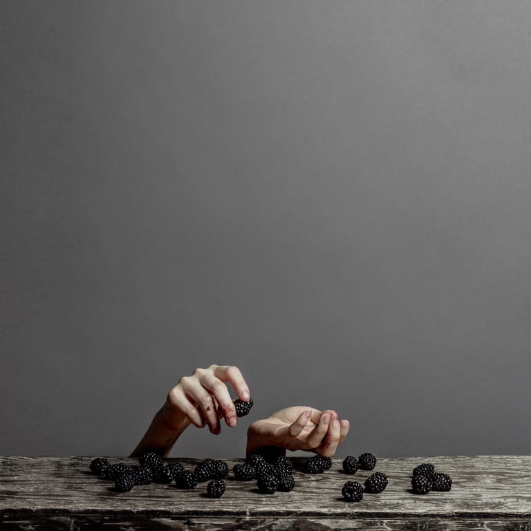 A photograph of a distressed surface with blackberries on it. There are hands sticking up from behind it, with one grabbing a blackberry and the other cupped open and empty.