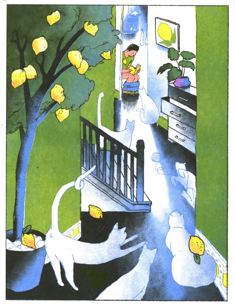 A boy on a toilet reading with the door open while cats run all around his green and colorful apartment.