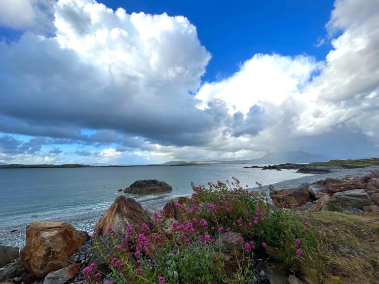 a seaside beach image with greenery, lavender flowers and brown rocks in the forrest, a blue, rocky ocean in the middle and huge white and gray clouds in the background covering up a blue sky.