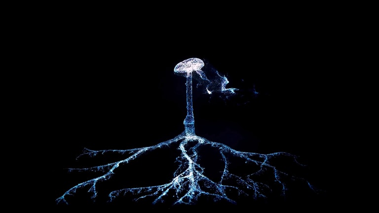 A luminous mushroom in a dark background with an expanding mycelium network below it. 