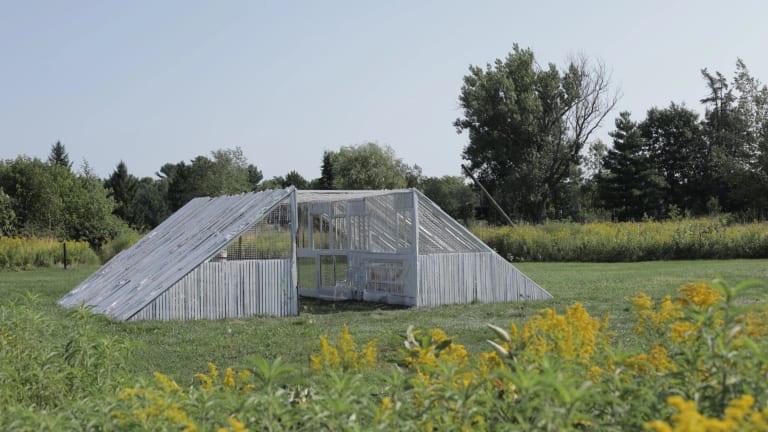 a structure made of gray slats in the shape of a trapezoid erected in a green field clearing