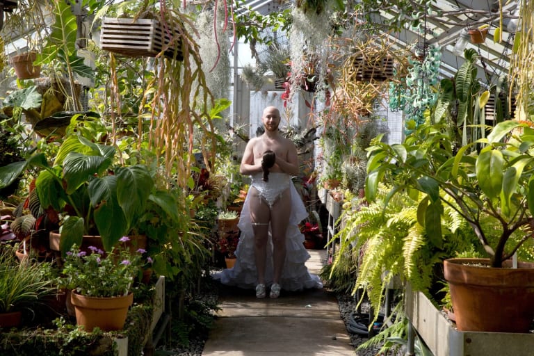 A transman standing in the middle of a greenhouse wearing high waisted, embellished white underwear with a bustle/train attached, and a garter, holding a wig in their hands like a bouquet. It looks like they are about to walk down the aisle.