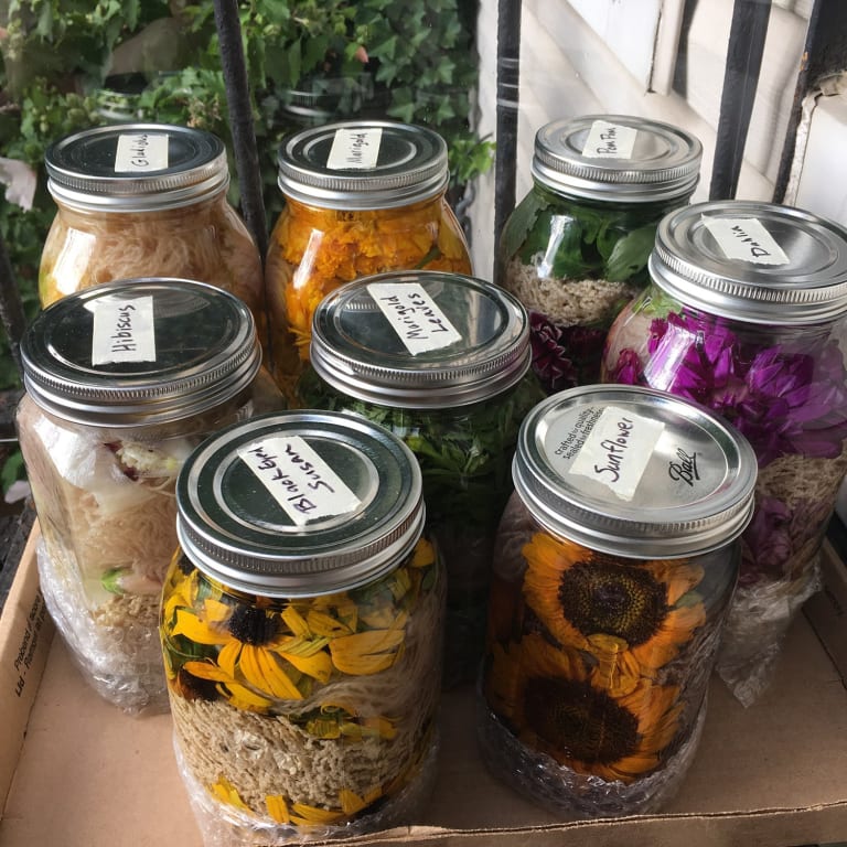 A photograph of several labeled mason jars, each containing colorful flowers.