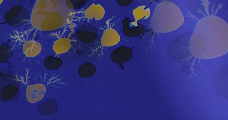 An animation still showing several blob-like shapes with root-like tendrils extending from the shapes.